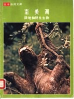 南美洲 陆地和野生生物