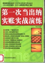 第一次当出纳实账实战演练