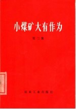 小煤矿大有作为 第2集