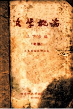 文学概论 上 初稿