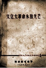 文化大革命永放光芒 学好无产阶级专政的理论 4