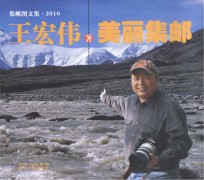 美丽集邮：集邮图文集 2010