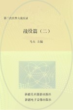 第二次世界大战实录 战役篇 2