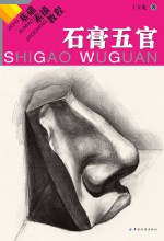 基础素描教程 石膏五官