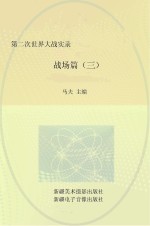 第二次世界大战实录 战场篇 3