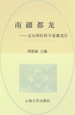 南疆都龙 文山州社科专家都龙行