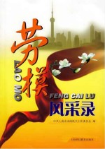 劳模风采录