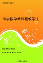 小学数学新课程教学法