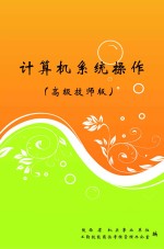计算机系统操作 高级技师版