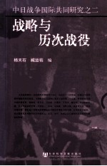 中日战争国际共同研究之二 战略与历次战役