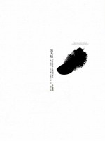 黑天鹅 升级版