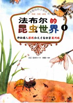 法布尔的昆虫世界 1 神秘猎人狼蛛和天才纺织家圆网蛛