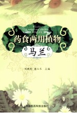 药食两用植物 马兰