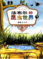 法布尔的昆虫世界 3 情歌王子蝉
