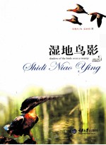 自然随笔丛书 湿地鸟影