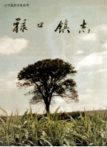 禄口镇志
