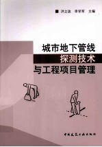 城市地下管线探测技术与工程项目管理