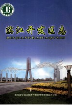 滨江开发区志