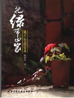 把绿带回家 随兴小品盆栽