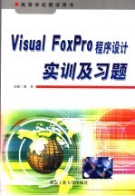 Visual FoxPro程序设计实训及习题 中文版