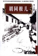 胡同根儿 下