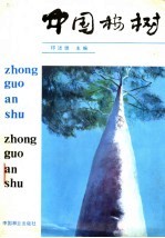 中国桉树