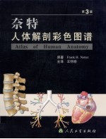 奈特人体解剖彩色图谱 第3版
