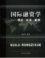 国际融资学 理论·实务·案例
