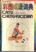 彩图成语词典