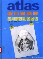 眼耳鼻咽喉应用解剖彩色图谱 英汉对照