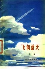 飞向蓝天