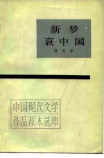 新梦哀中国