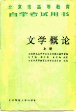 文学概论 上
