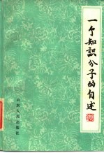 一个知识人分子的自述