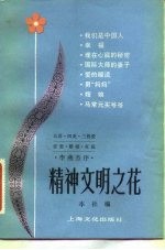 精神文明之花