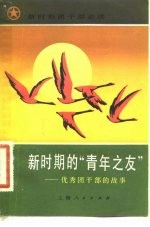 新时期的“青年之友” 优秀团干部的故事