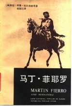 马丁·菲耶罗