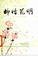 电影文学剧本 柳暗花明
