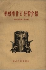 “蚂蚁啃骨头”经验介绍