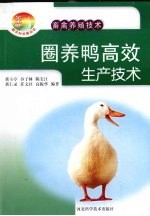 圈养鸭高效生产技术