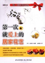 第一次就爱上的居家花艺