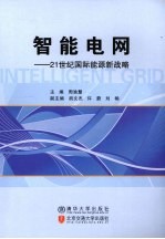 智能电网 21世纪国际能源新战略