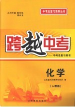 跨越中考：中考总复习用书 化学 人教版