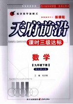 天府前沿 课时三级达标 数学 (九年级下册) 配北师大版