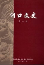 洞口文史 第6辑