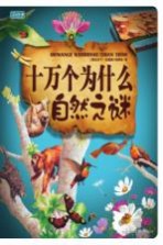 图说天下学生版:十万个为什么:自然之谜