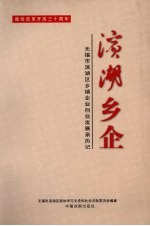 滨湖文史资料 第4辑 滨湖乡企 无锡市滨湖区乡镇企业创业发展亲历记