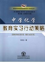 中学化学教育实习行动策略