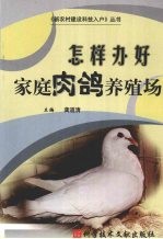 怎样办好家庭肉鸽养殖场
