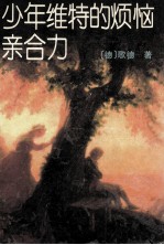 少年维特的烦恼 亲合力
